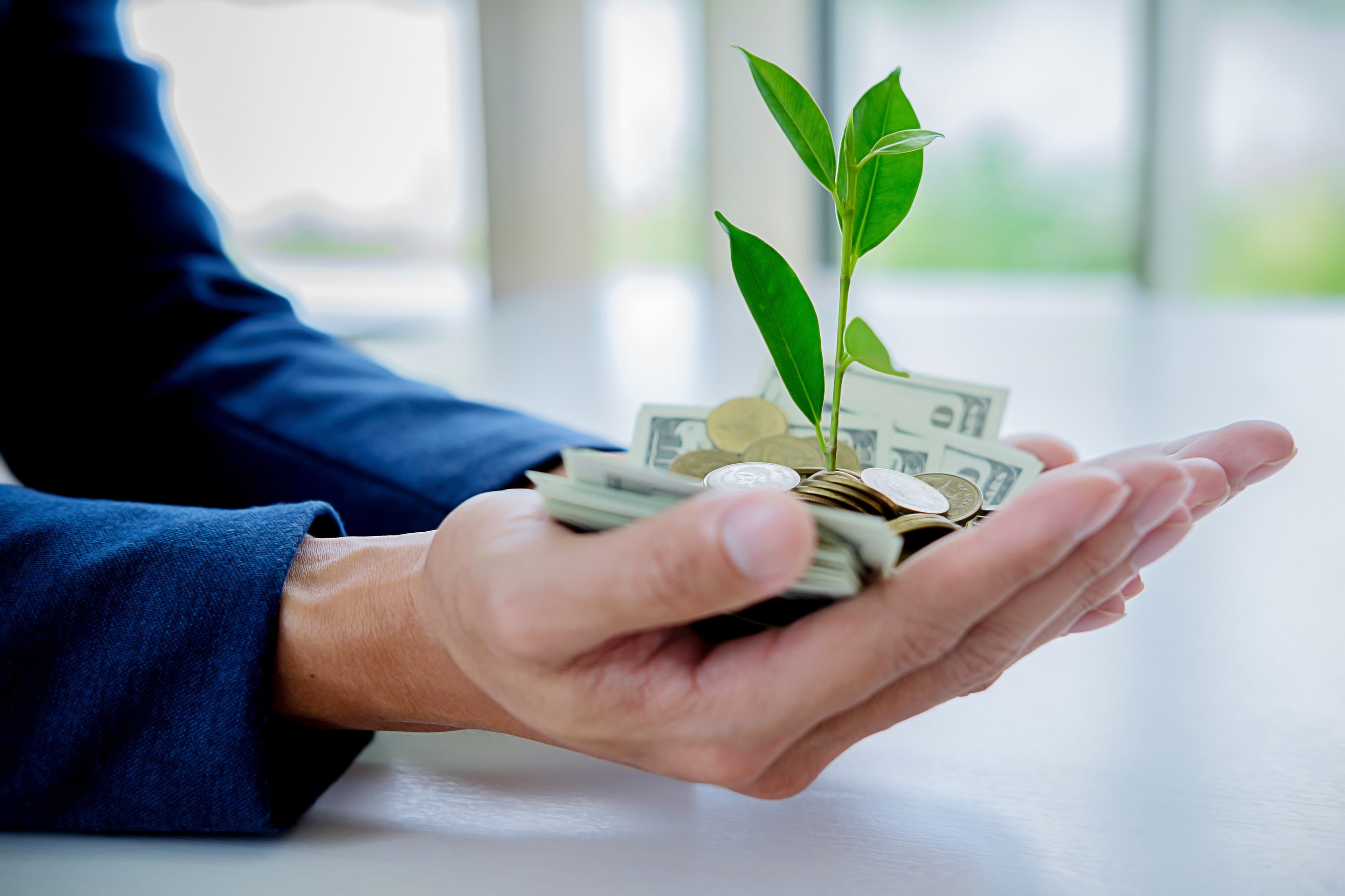 manos de empresario sosteniendo árboles en crecimiento